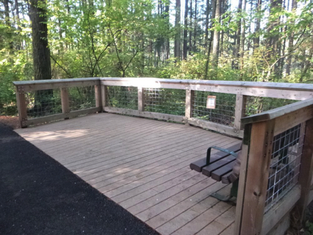 Viewpoint deck with bench and railings off the paved route